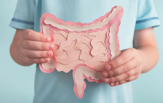 Why Prebiotics Deserve More Hype Than Probiotics for Gut Health